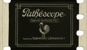 28mm-Pathescope_300