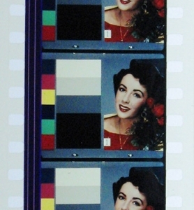 Liz Taylor